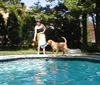 Bindy Jumping off DeepEnd of Pool