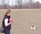 Aunt Jenny Throwing Pink Toy at Freedom Park