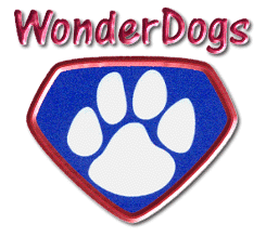 Wonderdogs Dog Training